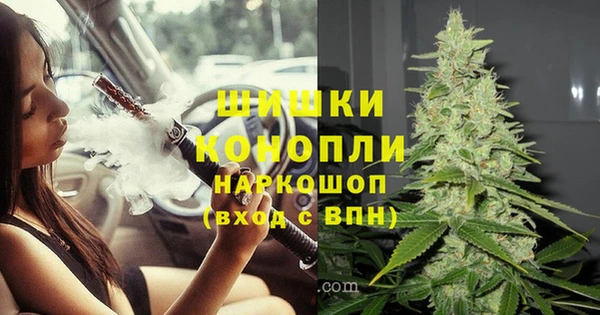 сатива Дмитровск