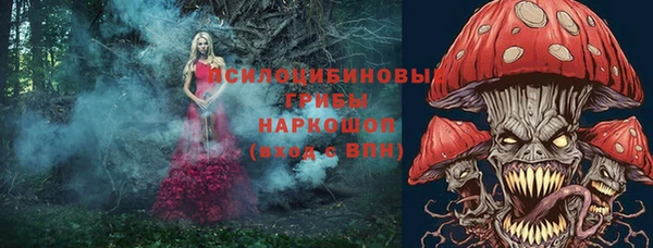 прущая мука Дмитров