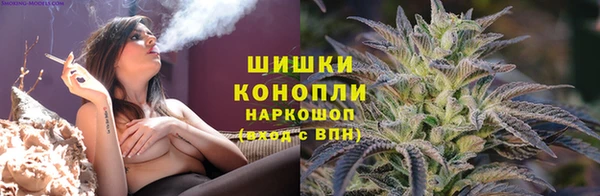 Альфа ПВП Вяземский