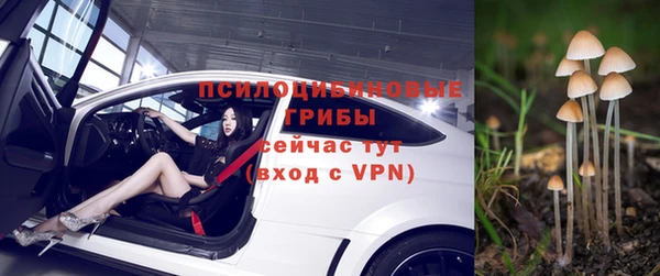 Альфа ПВП Вяземский