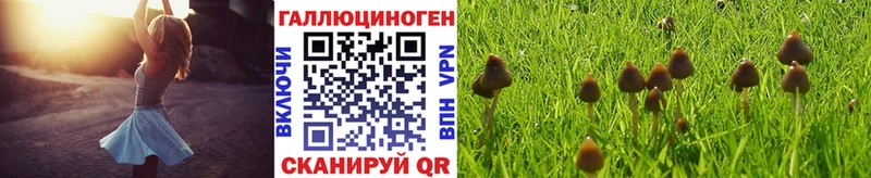 Галлюциногенные грибы ЛСД  Купить закладки  Рузаевка 
